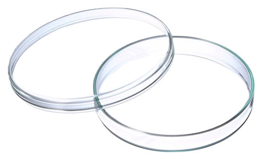 PLACA PETRI DE 100 MM X 15 MM X 10 UND