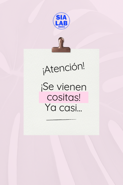 Llegaron las Novedades